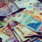 Vibrant assortment of Argentine Peso banknotes, showcasing various denominations and wildlife designs.