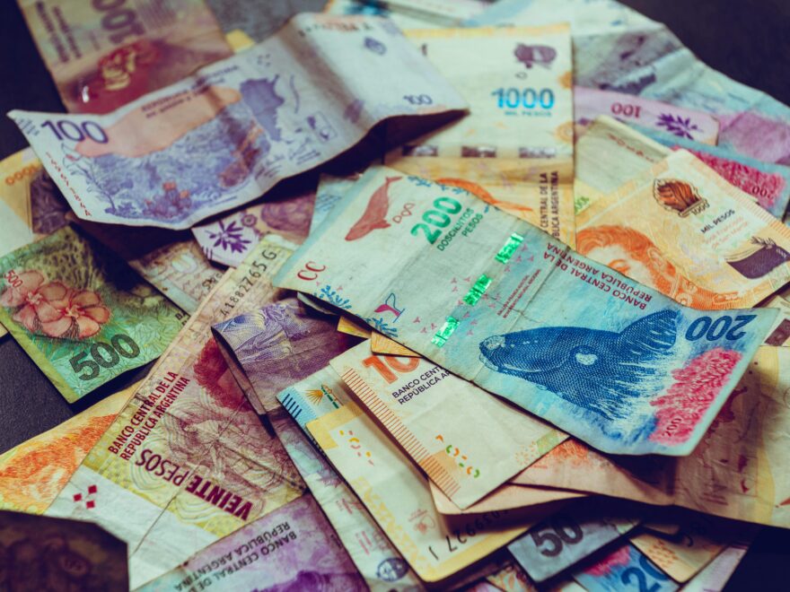 Vibrant assortment of Argentine Peso banknotes, showcasing various denominations and wildlife designs.